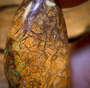 Wildcard! 22.9cts - Tribal Australian Boulder Opal from Yowah