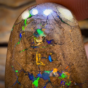 40.5cts - Queensland Boulder Opal. Bubbleband Formation