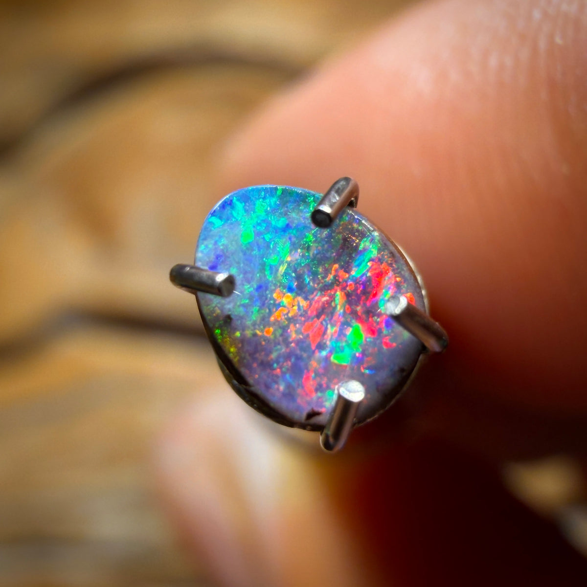 0.2cts - Queensland Boulder Seam Opal