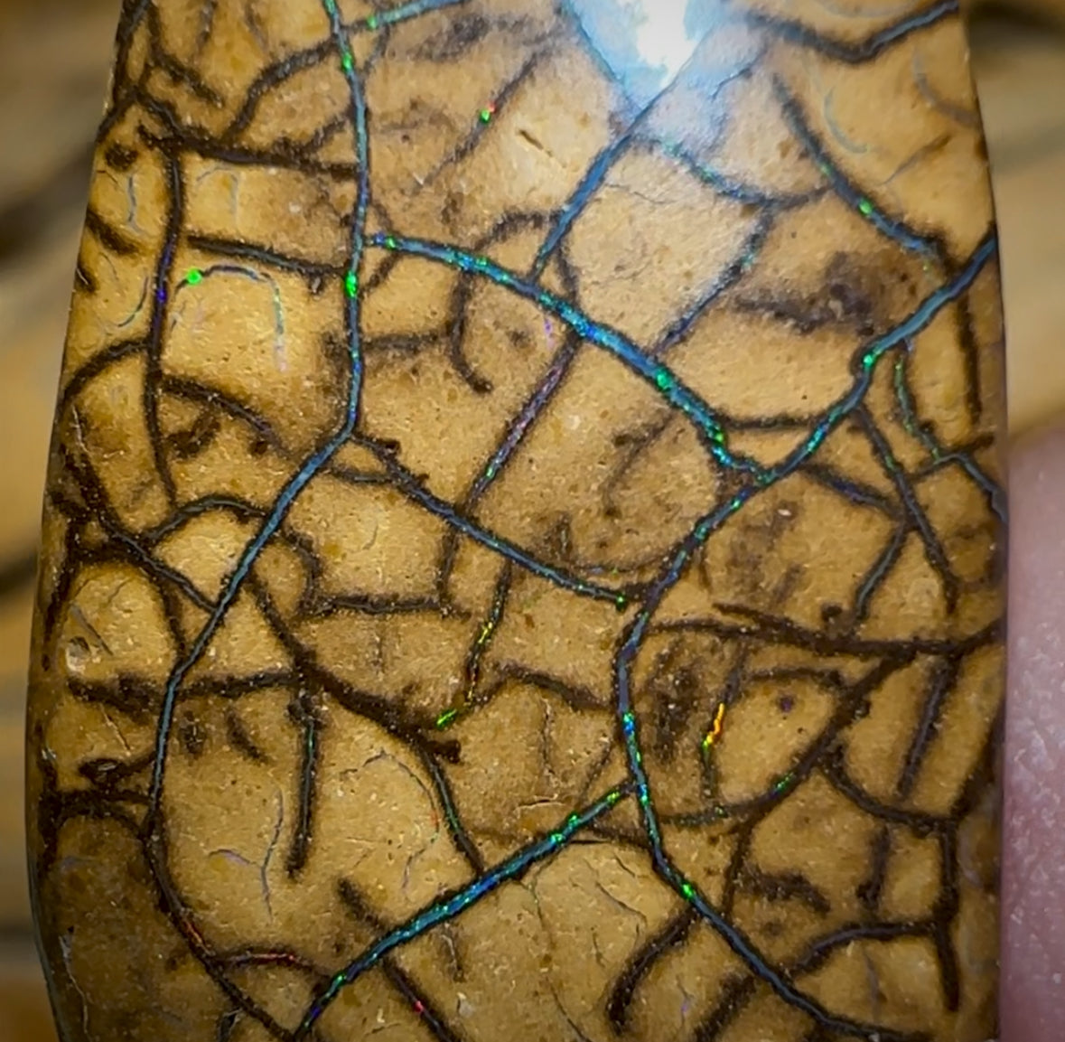 Auction Fall-Through = Your Gain! 🔥 Now More Than 50% Off RRP 🚨 25.9cts - Yowah Nut Tribal Opal