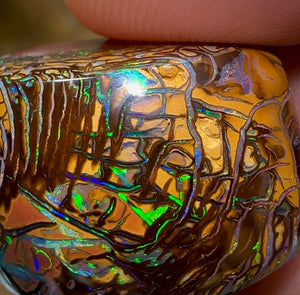 58cts - Yowah Nut Opal Polished Specimen. Tribal Pattern