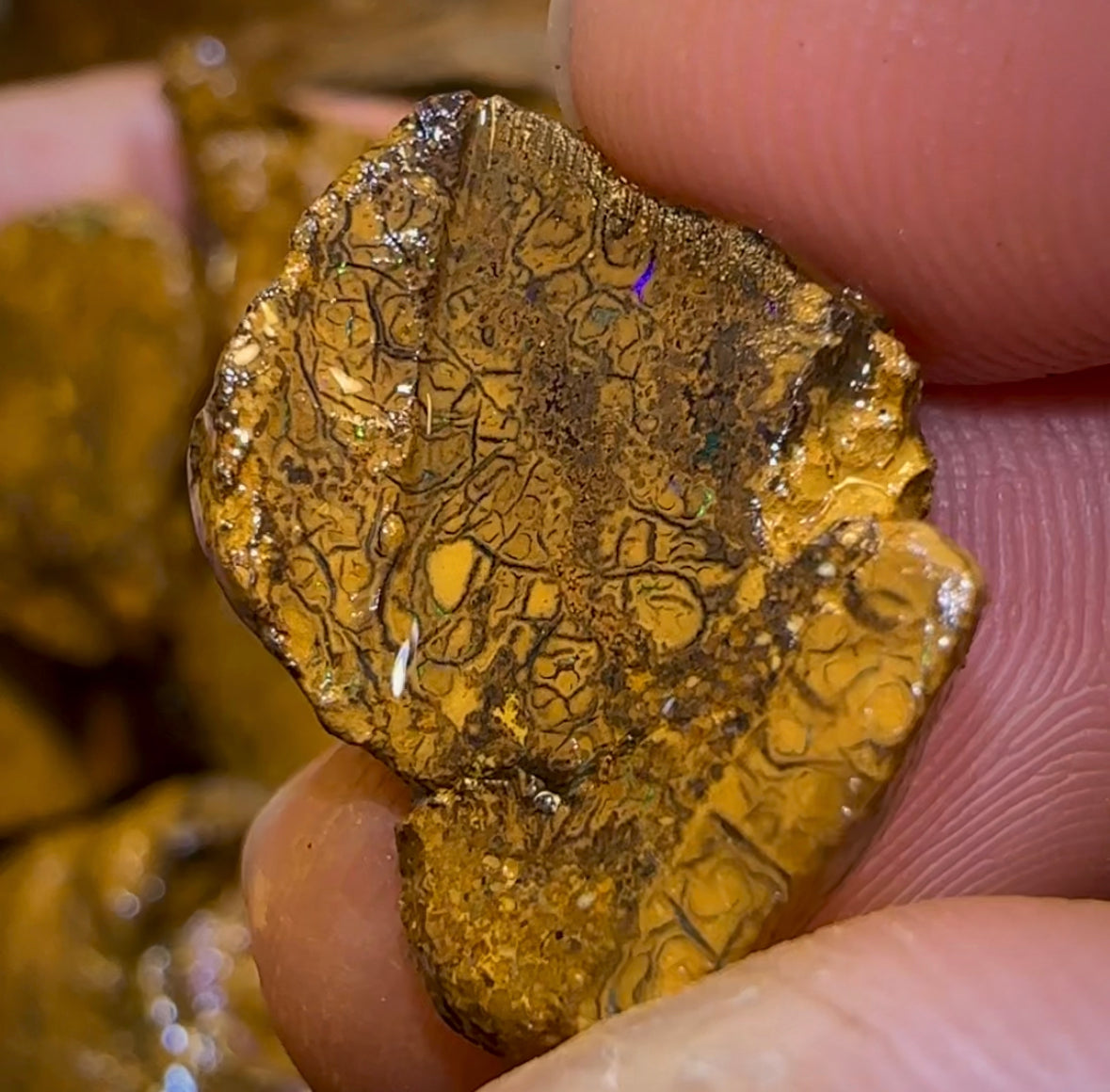 261.1g - 27x Yowah Nut Rough Opal Parcel. Queensland Boulder Opal 30c/ct Bargain - Opal Whisperers