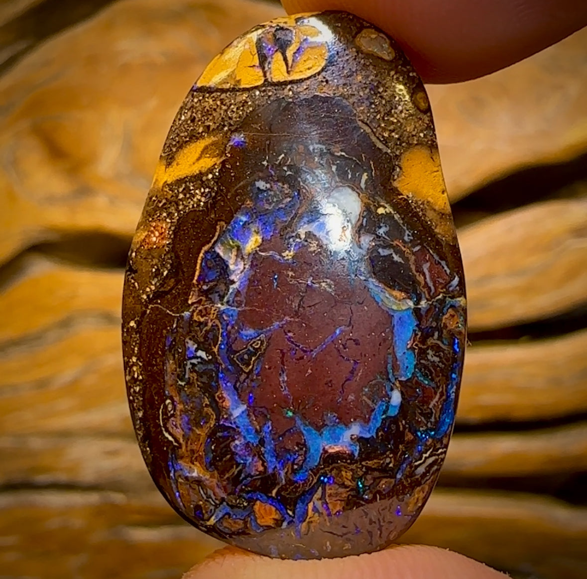 41.9cts - Tribal Queensland Boulder Yowah Nut Opal. Double Sided