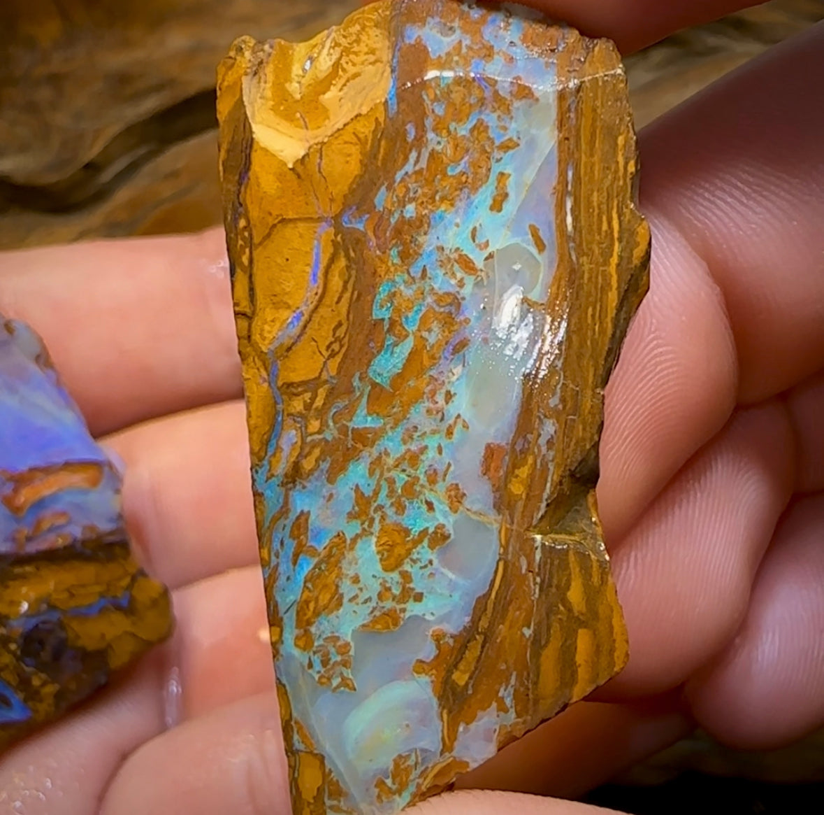 326.4cts - 3x Australian Boulder Opal Rough - Opal Whisperers