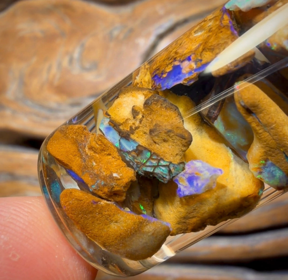 🔨 AUCTION 🔨 127.3cts - Vial of Yowah Nut Opal Rough w/ Fossil Opal