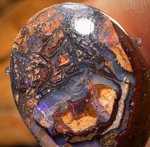 🔨 AUCTION 🔨 No Reserve 7.8cts - Tribal Queensland Boulder Opal