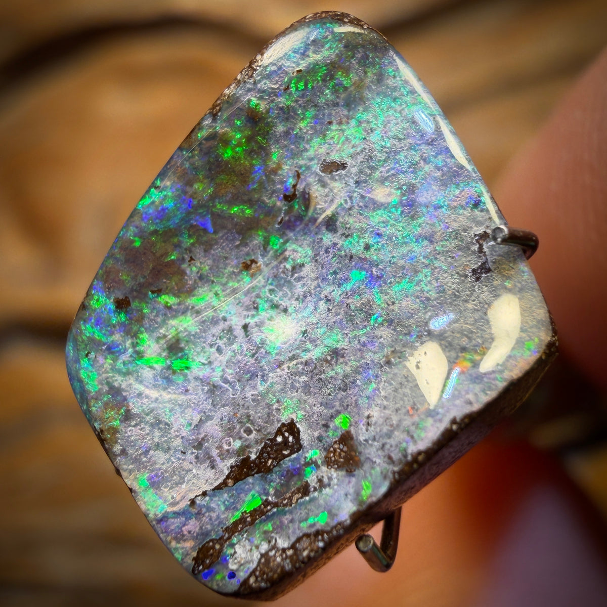 5.6cts - Queensland Boulder Seam Opal