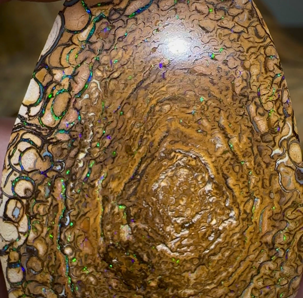 157.8cts - Yowah Nut Opal Matching Pair. Tribal Pattern - Opal Whisperers