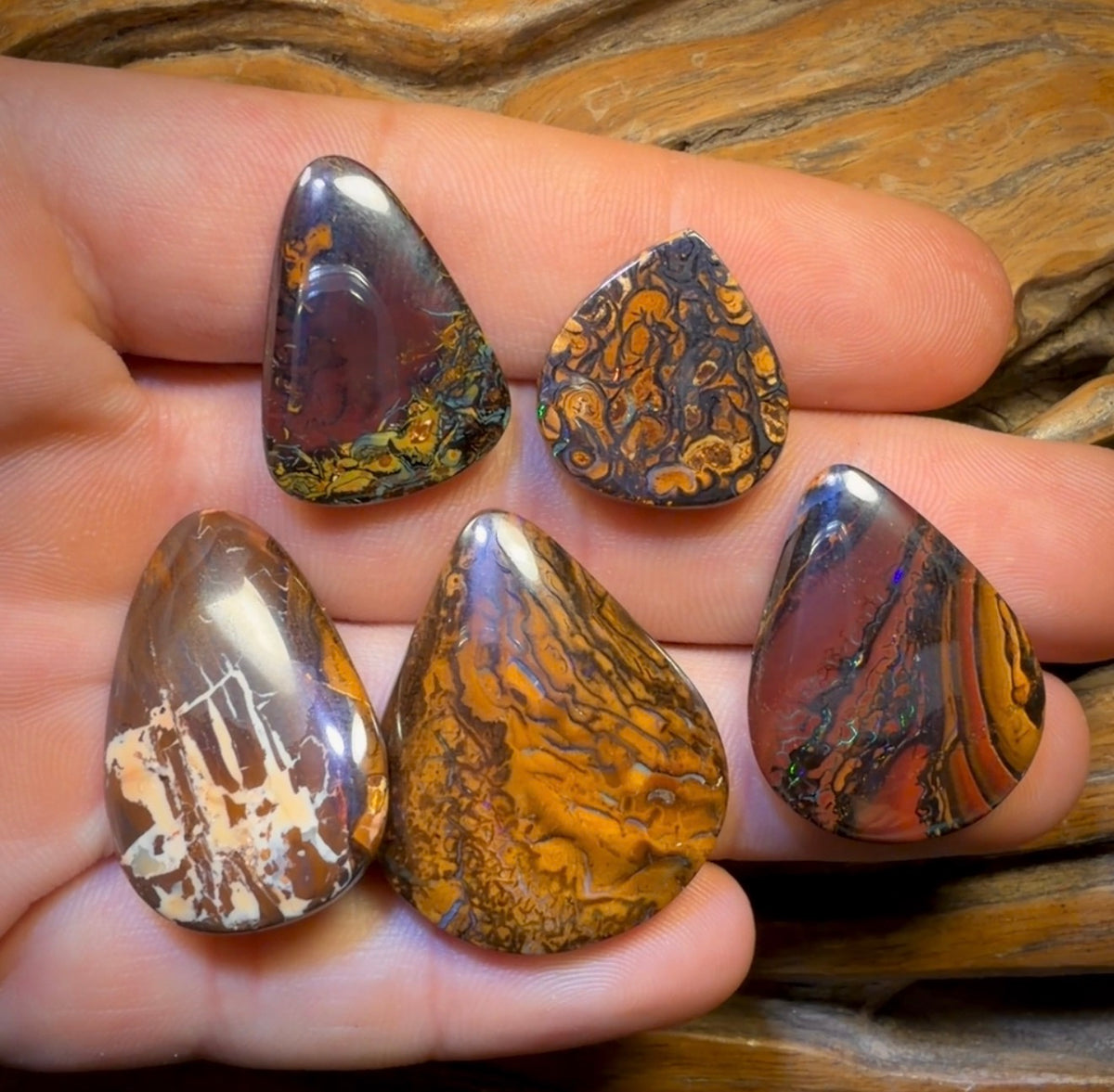 🔒 141.5cts - 5x Australian Tribal Boulder Opal’s. Wholesale Dealers Parcel
