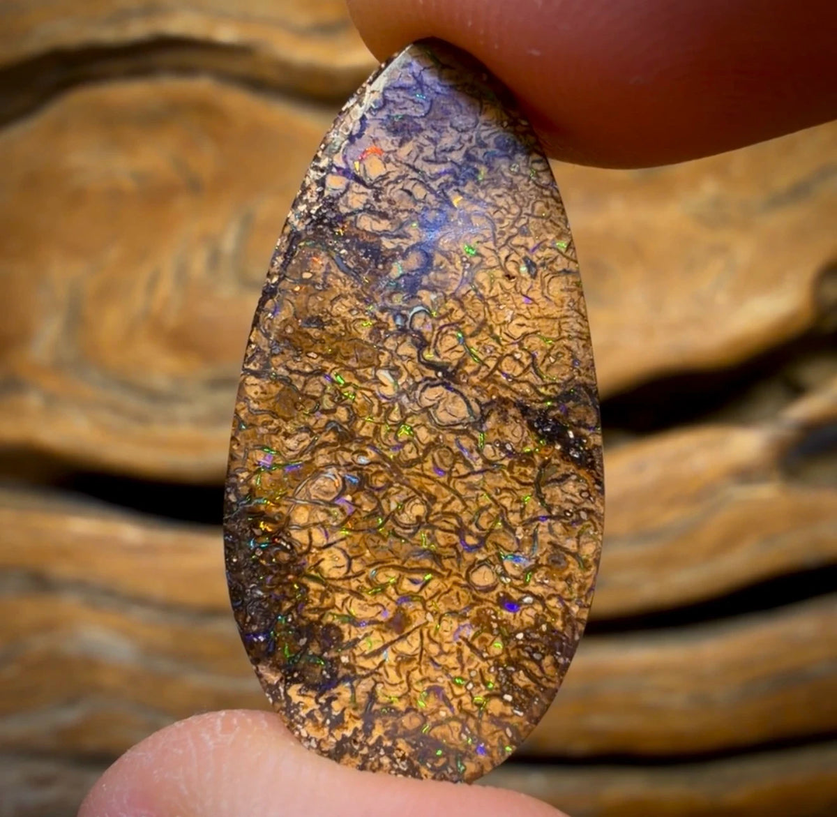 18,9 ct – Stammesopal aus Australien von Yowah