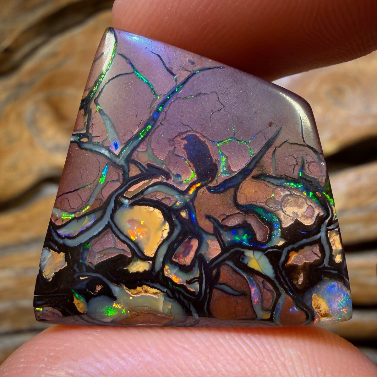 58.2cts -Top Tribal Queensland Boulder Opal from Yowah