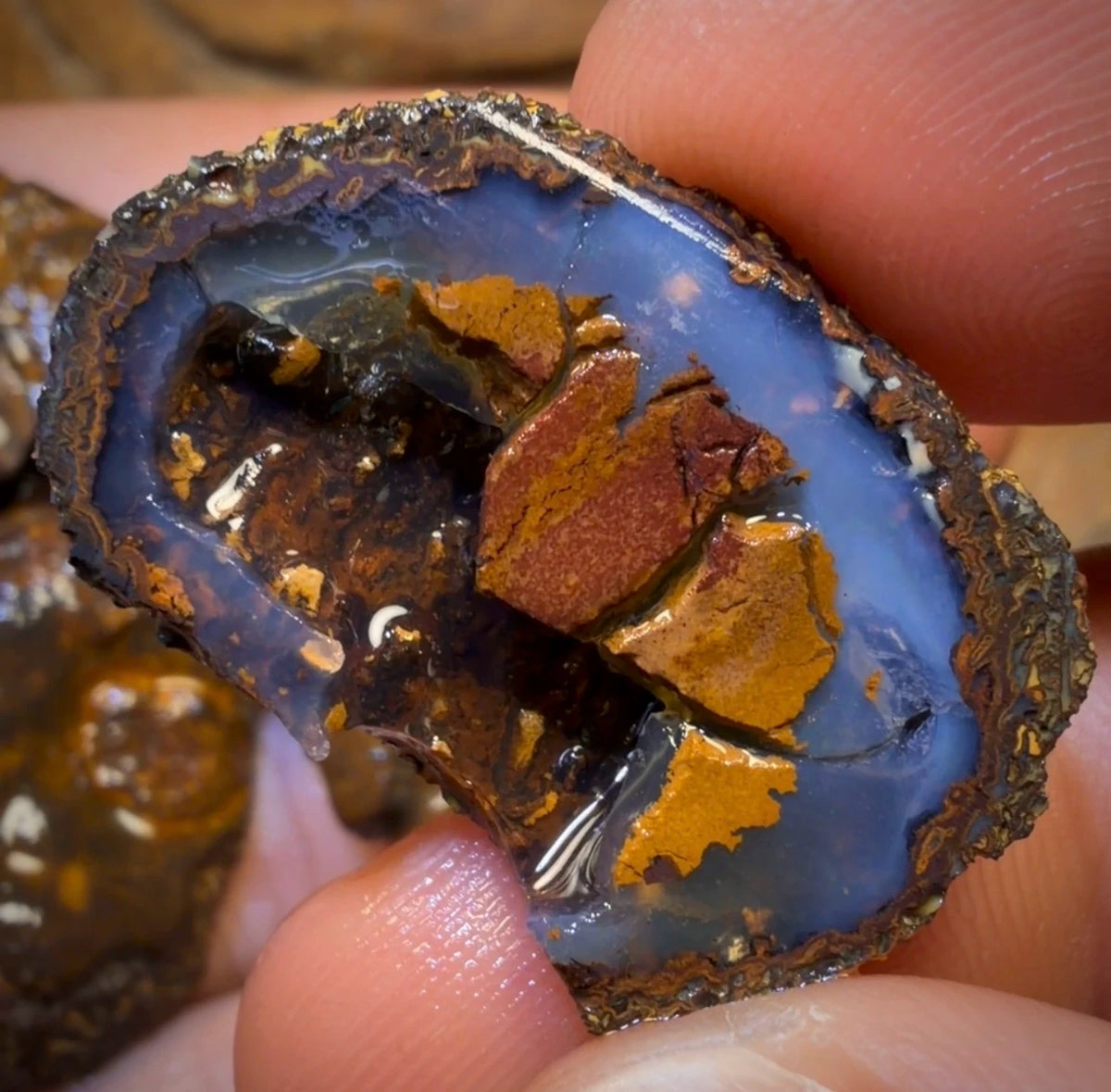 🔒152.7cts - 4x Yowah Nut Partial Crystal Centre Rough Specimen Parcel