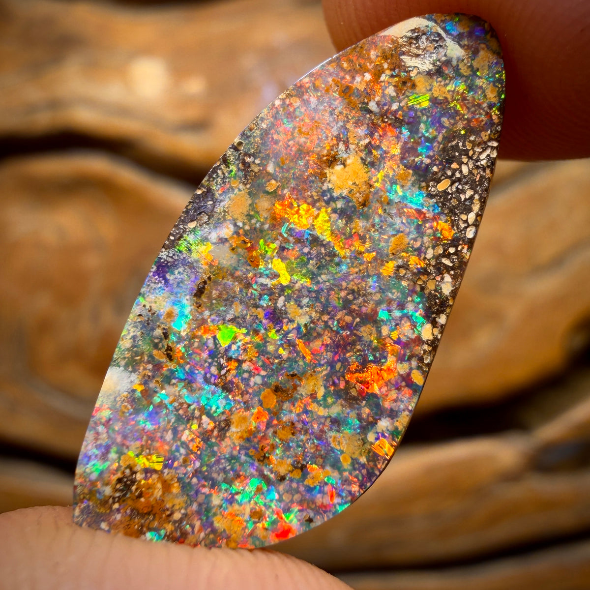 29.9cts - Top Australian Boulder Seam Opal Pair Red Multi Fire