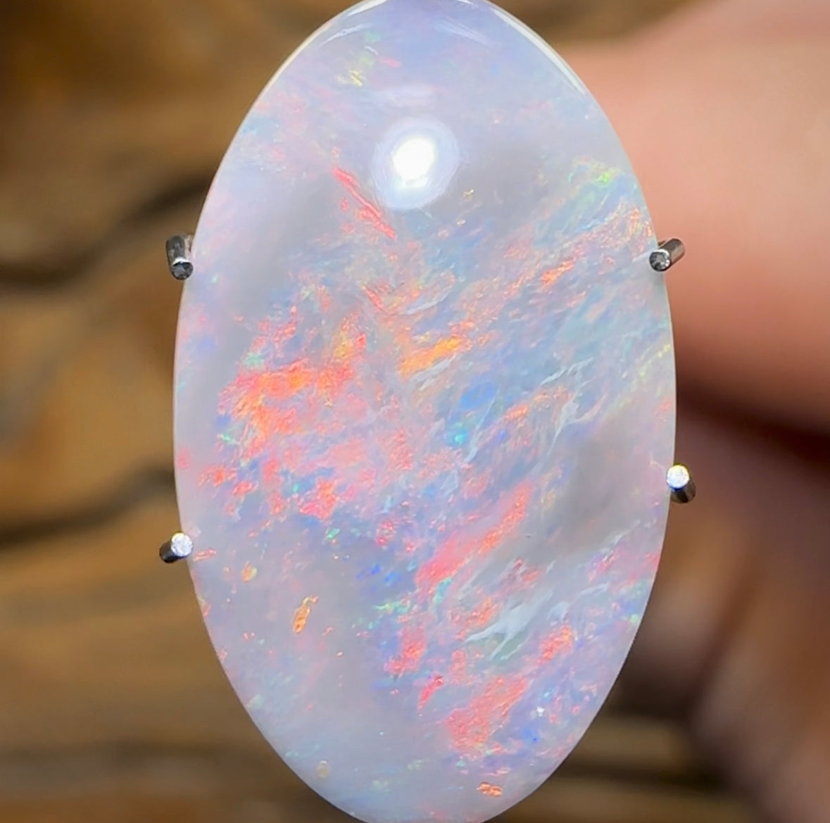 3.1cts - Quality Lightning Ridge Black Opal - Opal Whisperers