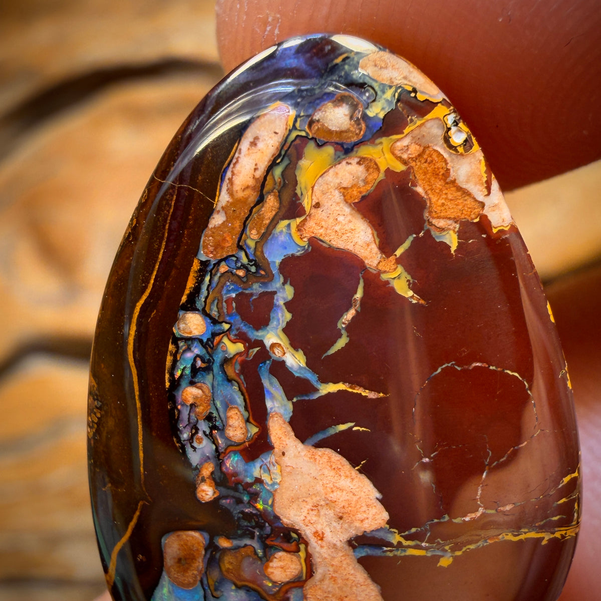 35.6cts - Tribal Queensland Boulder Opal from Yowah Bargain