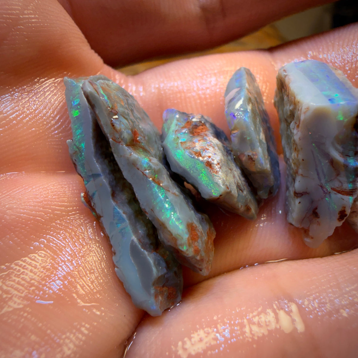 42,9ct - 6x Lightning Ridge Opal Rohpaket