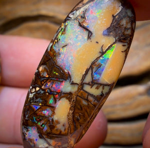 33.1cts - Cathedral AKA Stained Glass Window Australian Boulder Wood Fossil Opal Pair