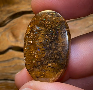 49.5cts - Queensland Boulder Opal. Yowah Tribal - Opal Whisperers