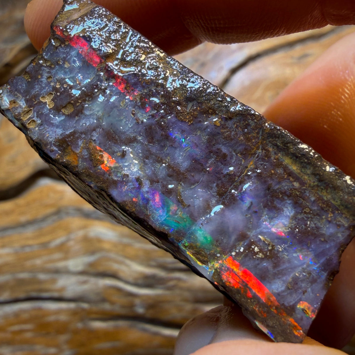 207cts - Top Queensland Boulder Seam Opal Rough Piece. Natural Split