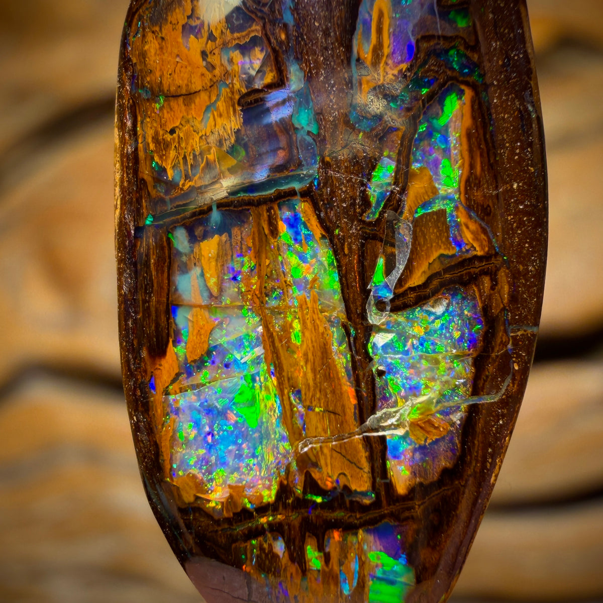 17.9cts - “Cathedral” Top Wood Fossil Replacement Boulder Opal from Yowah