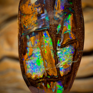 17.9cts - “Cathedral” Top Wood Fossil Replacement Boulder Opal from Yowah