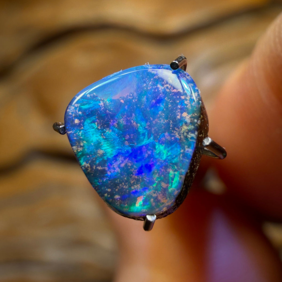 Wild card! 1.3cts - Solid Queensland Boulder Seam Opal. Australian Opal