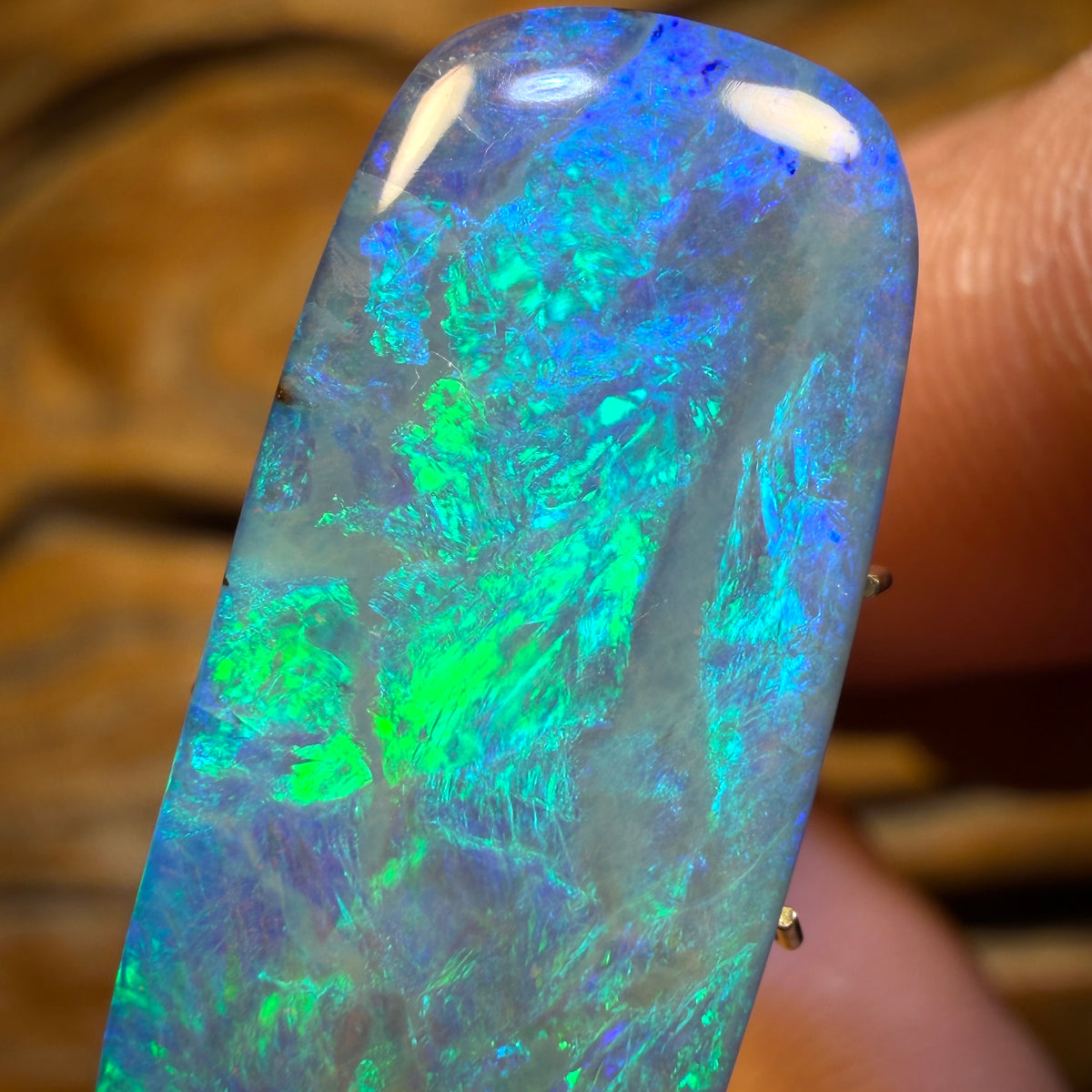 14.15cts - Top Australian Boulder Seam Opal from Winton