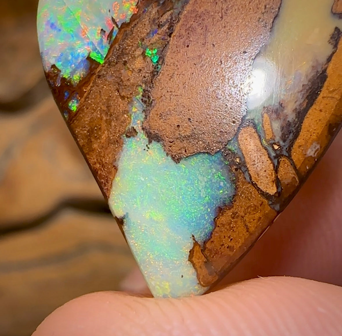 (Template) 24.1cts - Top Australian Boulder Wood Fossil Opal. Rare Cathedral Pattern - Opal Whisperers