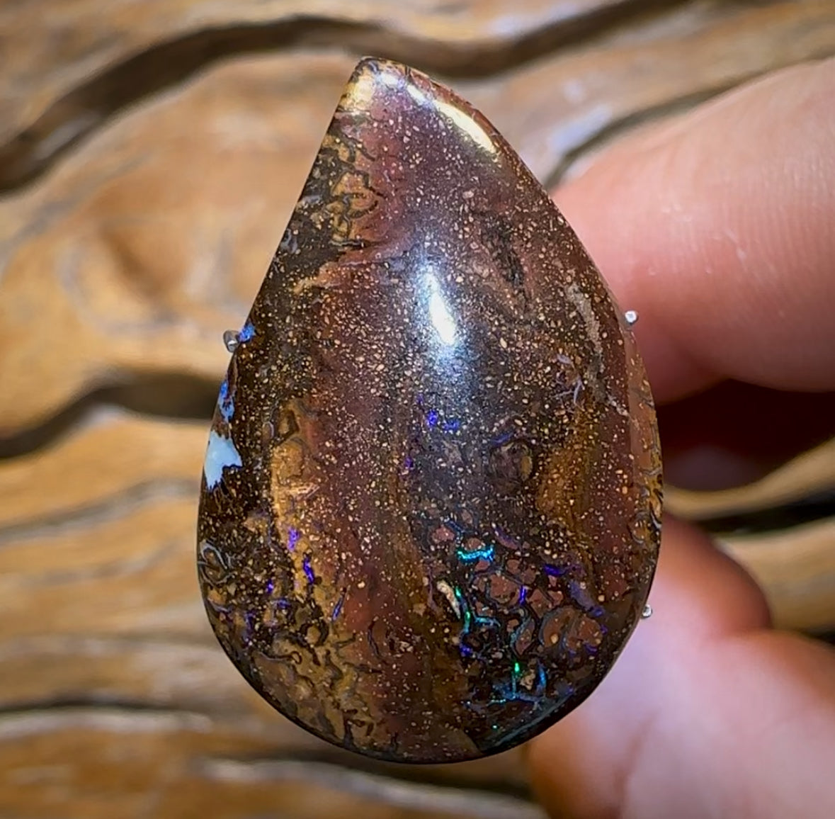 23,8 carats - Opale Boulder tribale du Queensland de Koroit