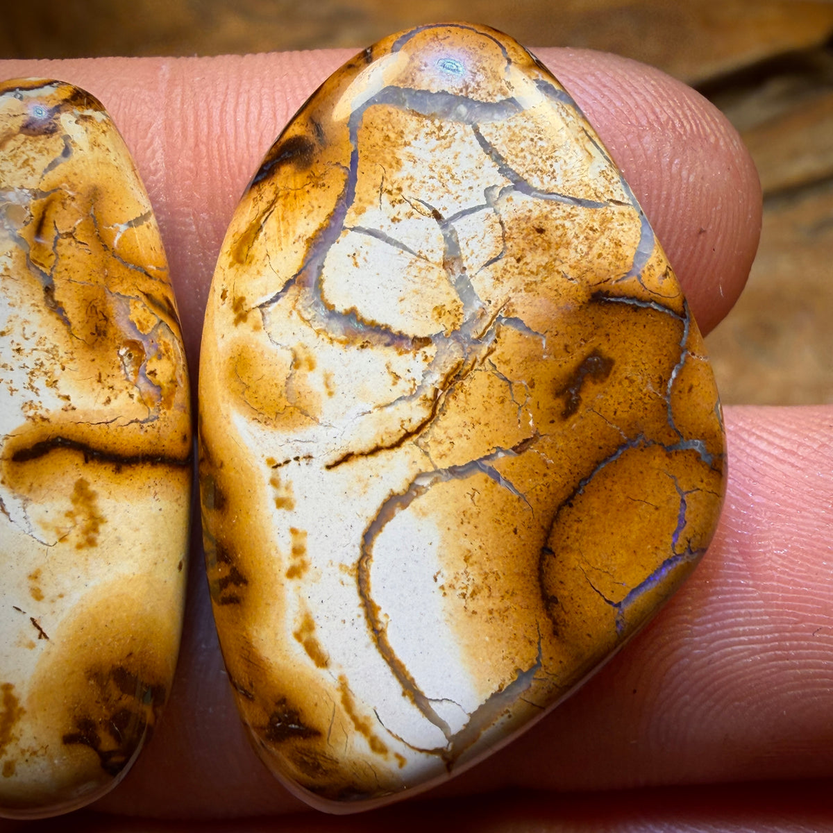 Late Card Rarity 49.2cts - Tribal Queensland Boulder Opal Pair. White/Porcelain Tribal