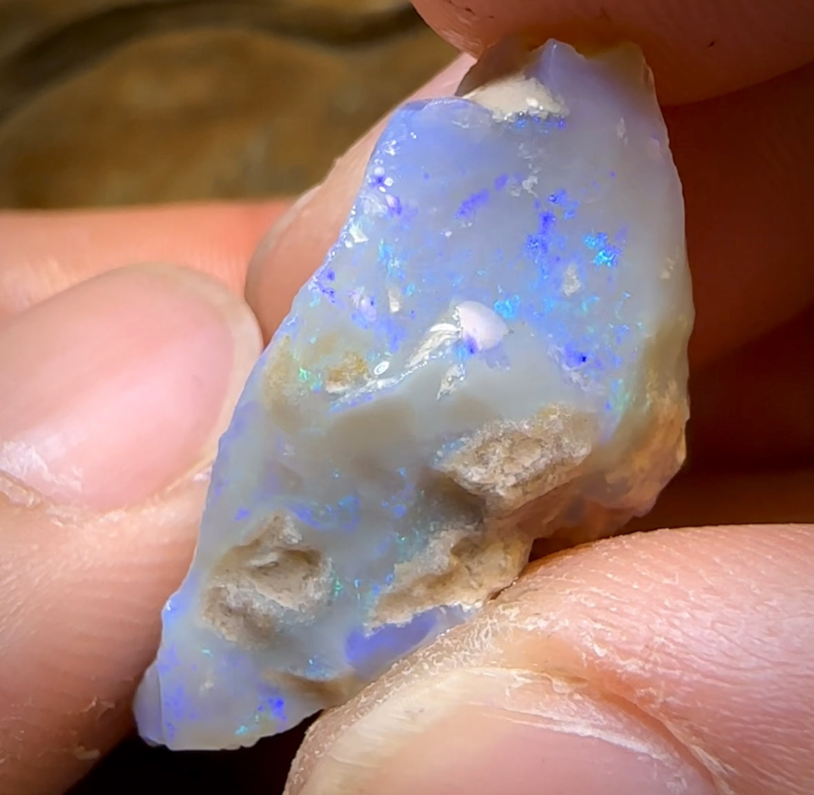 65.4cts - 4x Lightning Ridge Opal Rough Parcel