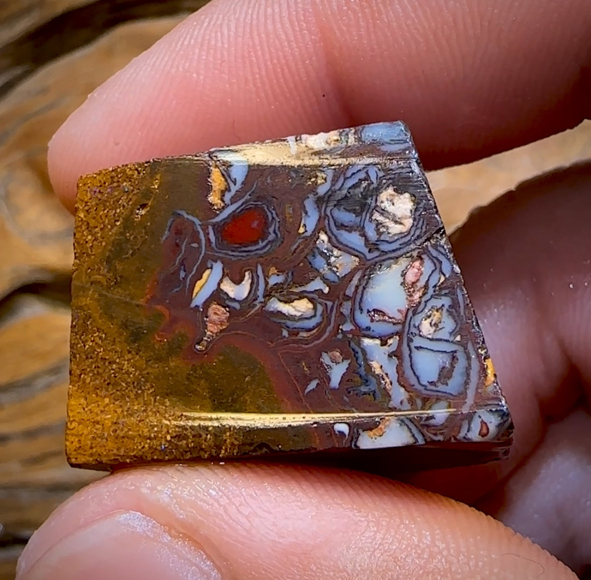 171.2cts - Tribal Queensland Boulder Opal Rough Piece from Koroit