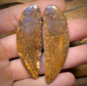 102.7cts - Tan Tribal Queensland Boulder Opal Pair