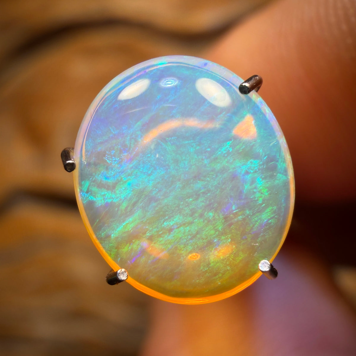 1.6cts - Queensland Boulder Crystal Opal
