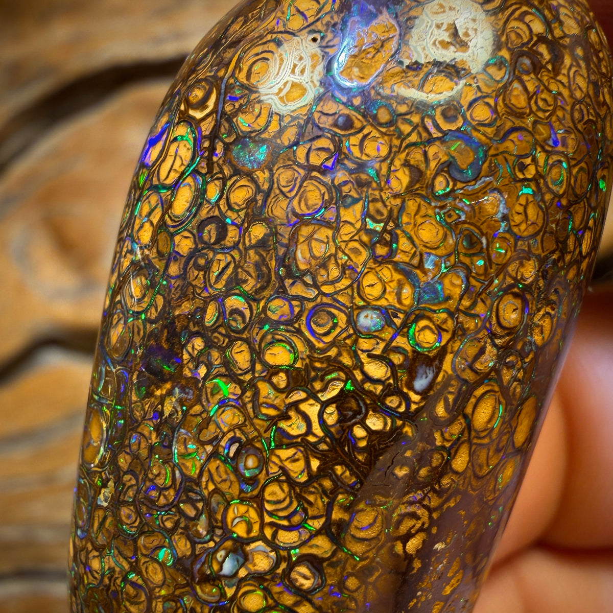 218.7cts - large Tribal Australian Boulder Opal Polished Specimen