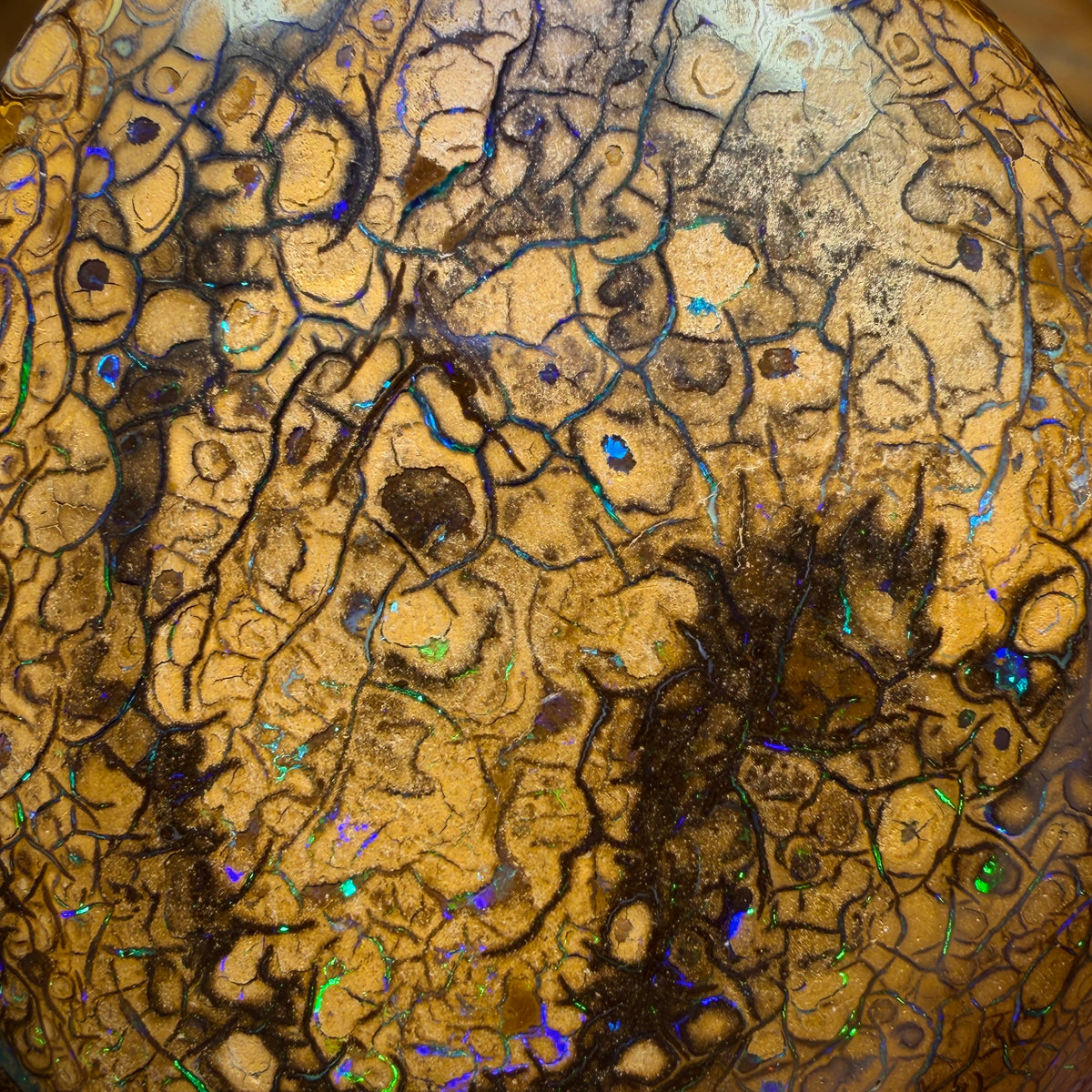 Wild Card! 289.4cts - Huge Tan Intricate Tribal Queensland Boulder Opal from Yowah