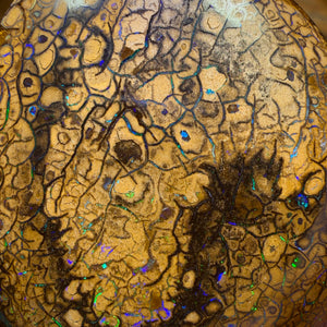 Wild Card! 289.4cts - Huge Tan Intricate Tribal Queensland Boulder Opal from Yowah