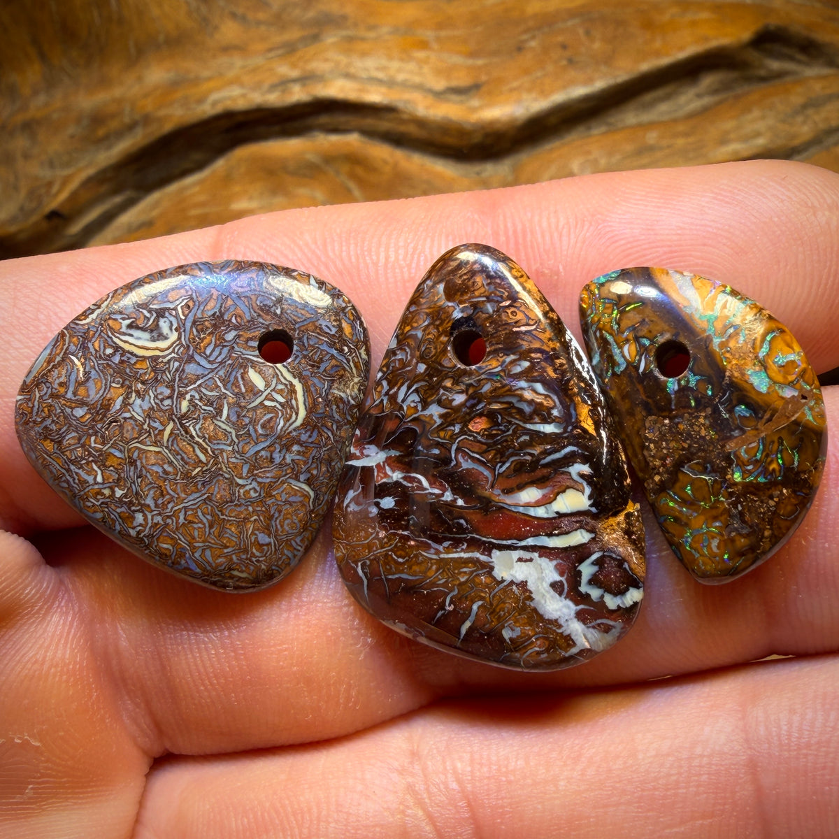 59.1cts - 3x Drilled Queensland Boulder Opals. BARGAIN Wholesale Parcel
