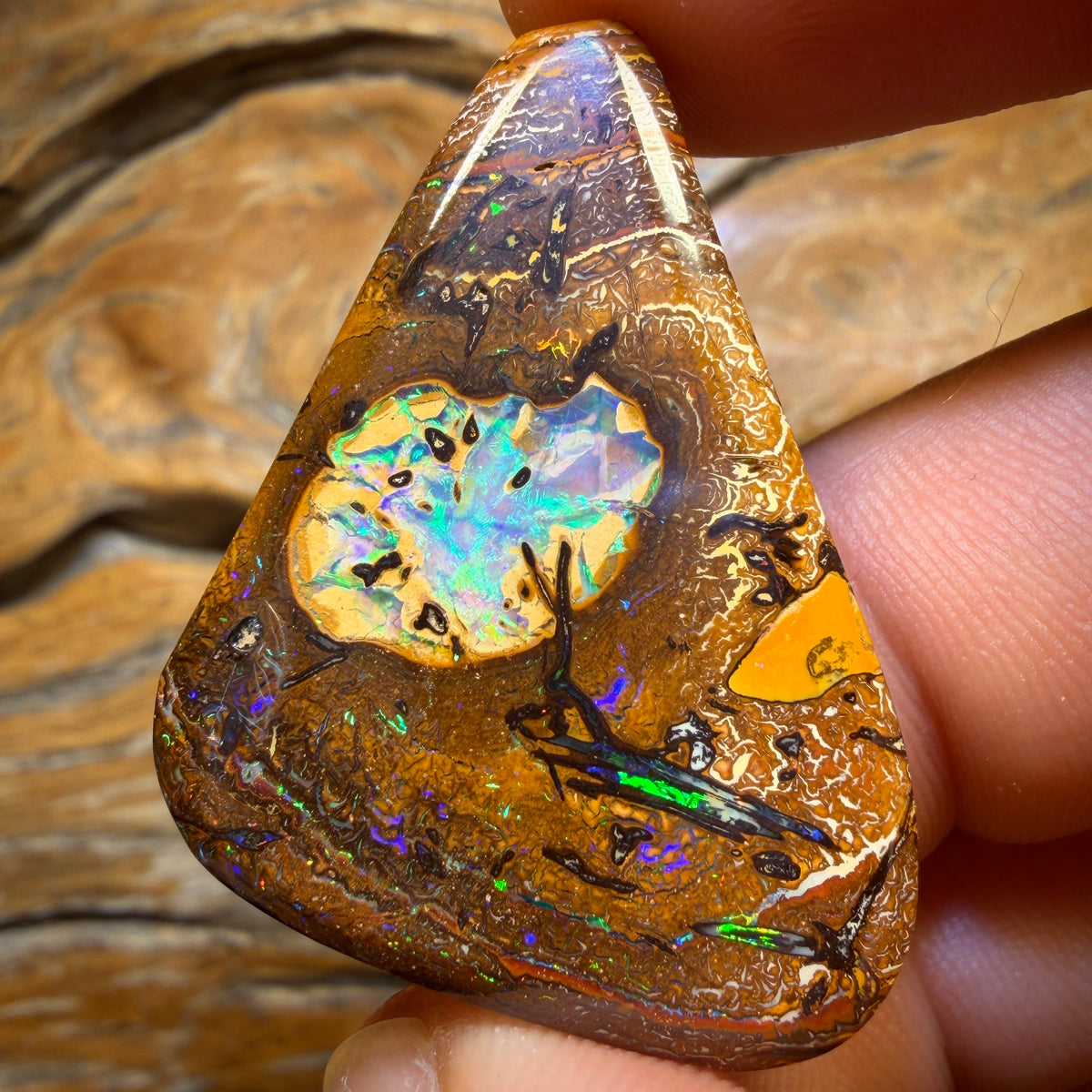 59.2cts - Yowah Nut Kernel Opal w/ Tribal Surround. Australian Boulder Opal