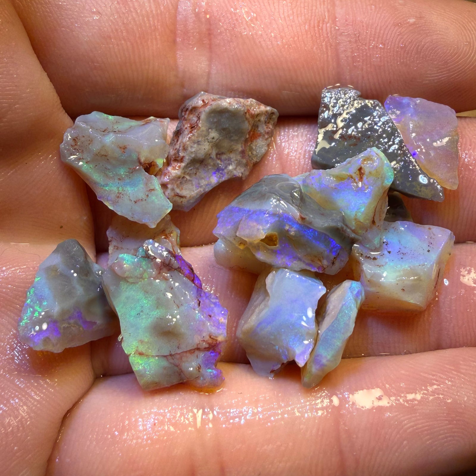 59.7cts - 14x Lightning Ridge Opal Rough Parcel
