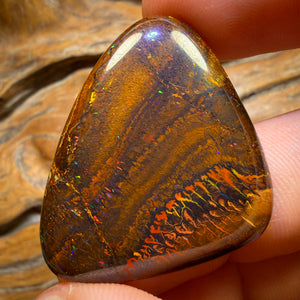 59.8cts - Tribal Queensland Boulder Opal. Red Multicolour