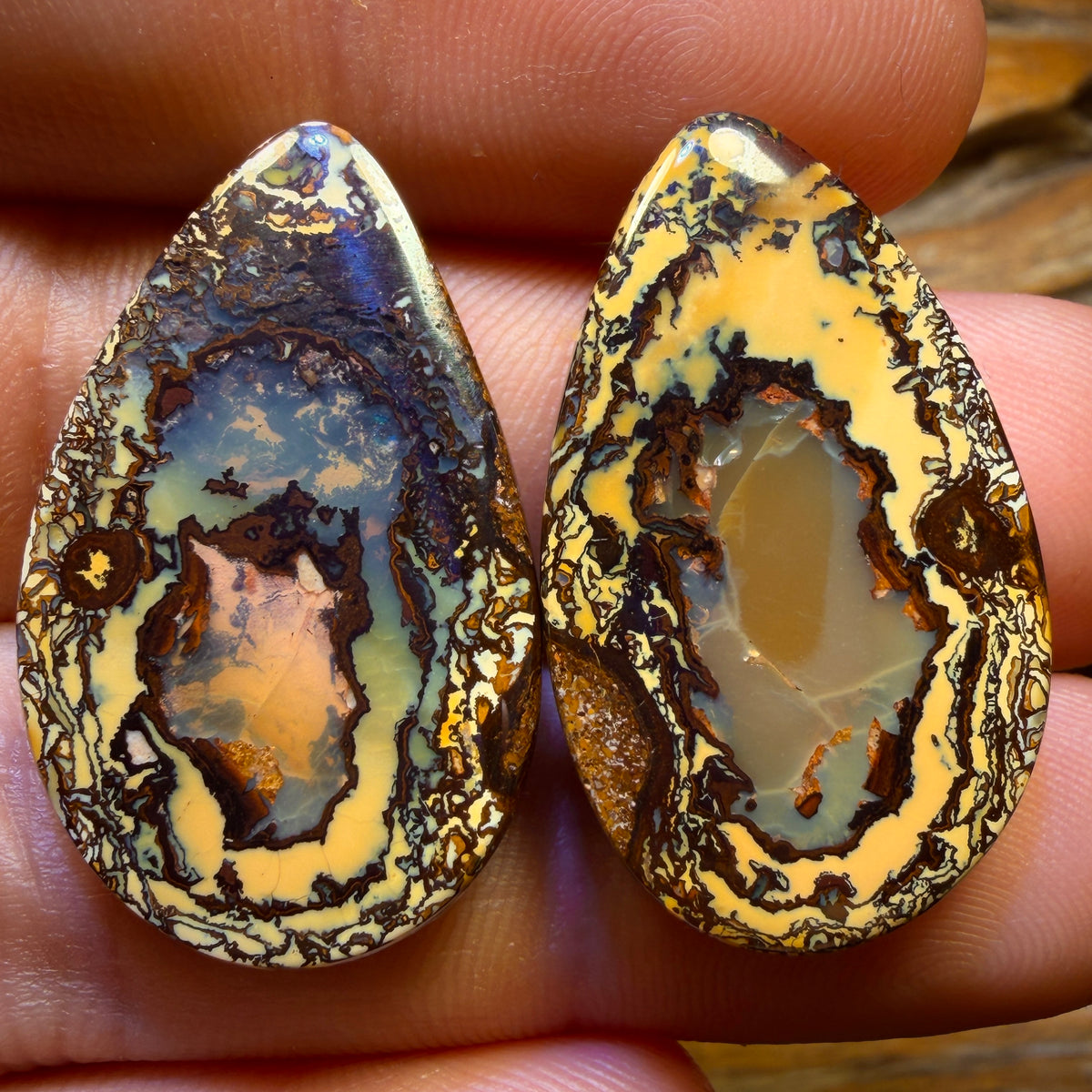 59.9cts - Yowah Nut Partial Crystal Centre Pair Polished