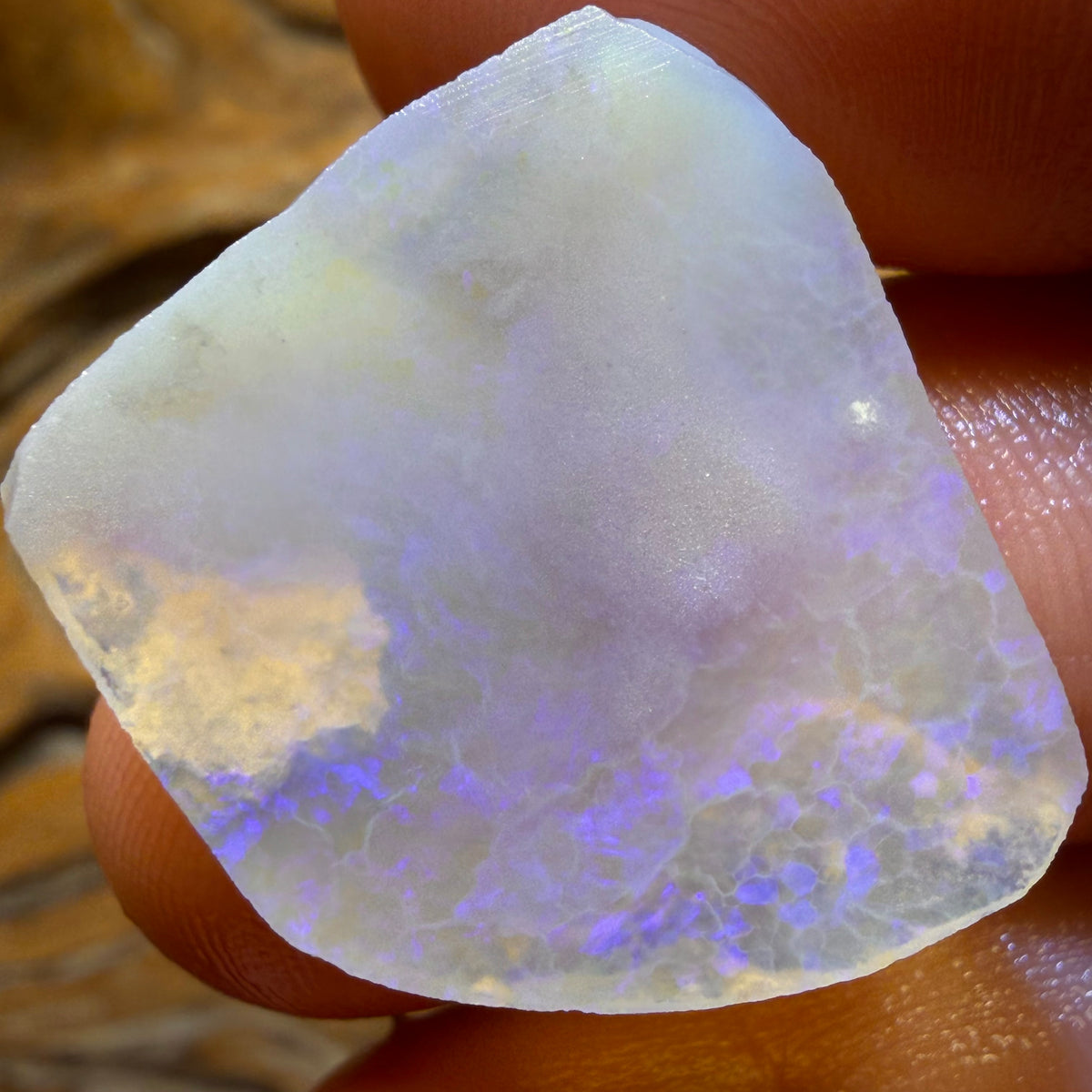 26.8cts - Lightning Ridge Semi Crystal Opal Rough Rub