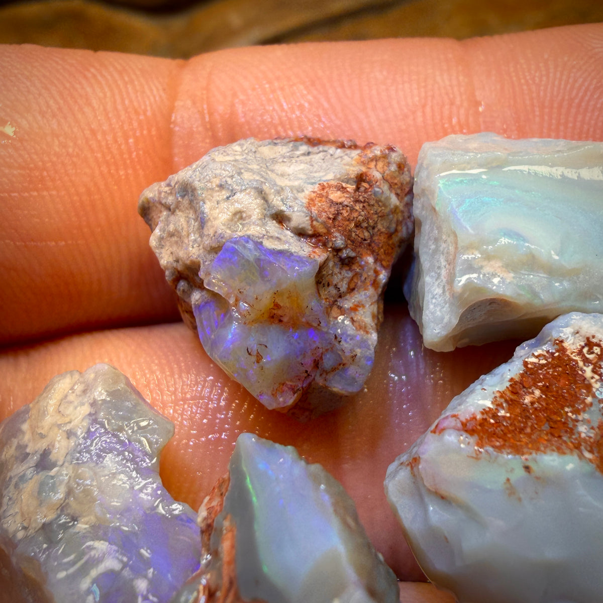 60.7cts - 5x Lightning Ridge Opal Rough Parcel