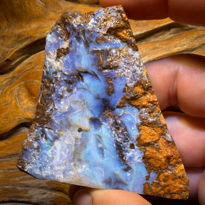 593cts - Queensland Boulder Seam Opal Rough Piece