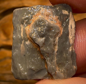 Auction Fall-Through = Your Gain! 🔥 Now More Than 50% Off RRP 🚨 16.1cts - Lightning Ridge Wood / Vegetation Fossil Opal Rough Specimen