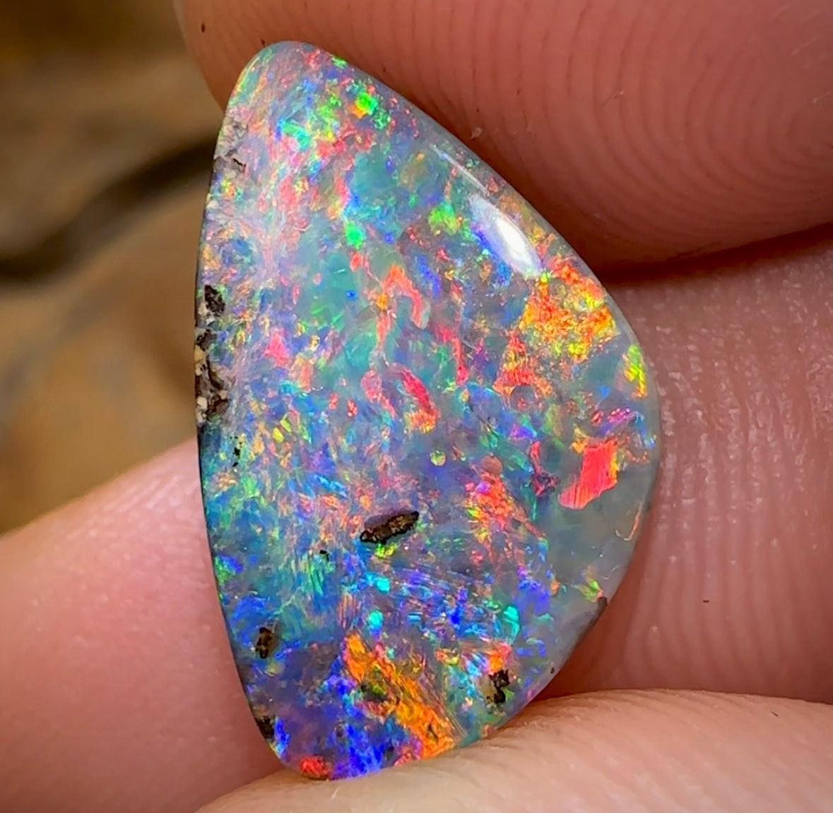 5.4cts - Top Australian Boulder Opal from Winton. Prized Full Red Multi Colour. - Opal Whisperers
