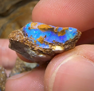 105.4cts - 6x Queensland Boulder Opal. Fossil Wood Replacement - Opal Whisperers