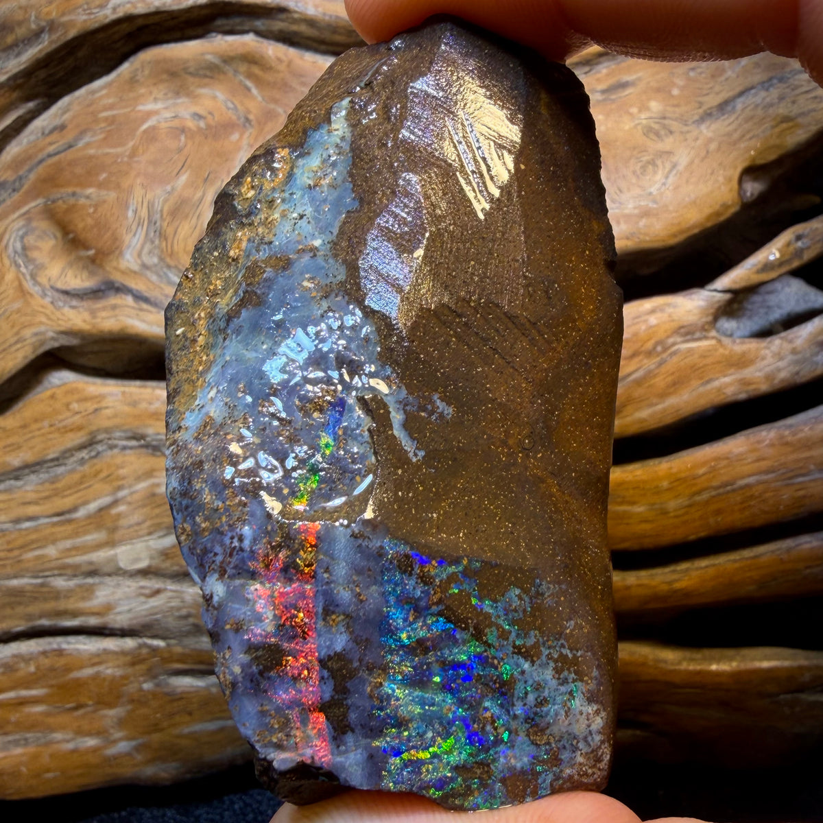 599cts - Queensland Boulder Seam Opal Rough Piece. Natural Split