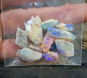 42.5cts - Lightning Ridge, Fossil Rough Opal Specimen - Opalwhisperers